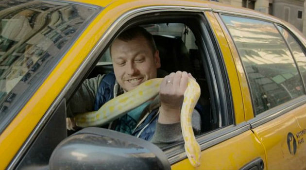 Snakes In A Cab