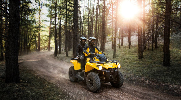 ATV In Forest