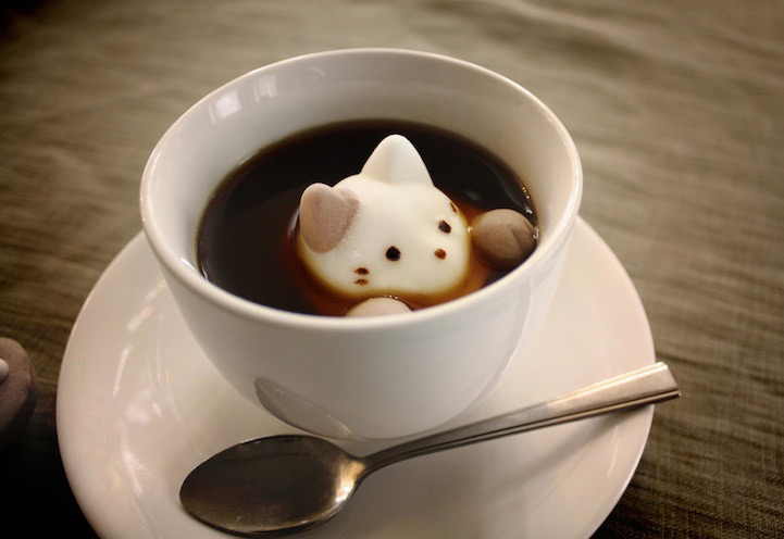 These Cats Are So Cute That You ll Drink Them Up Literally These Cats Are So Cute That You ll Drink Them Up Literally