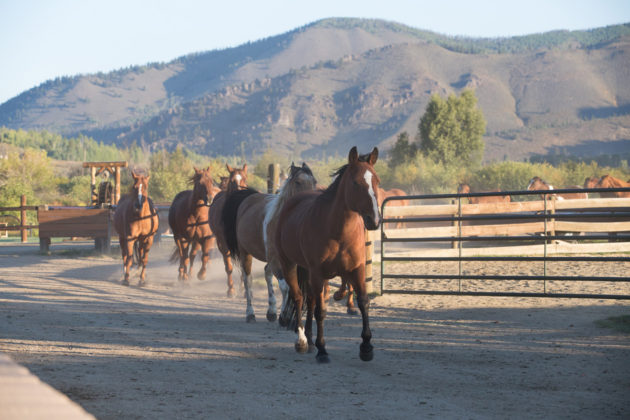 old-spice-dude-ranch-4