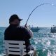 Tarpon Fishing in Punta Gorda, Florida