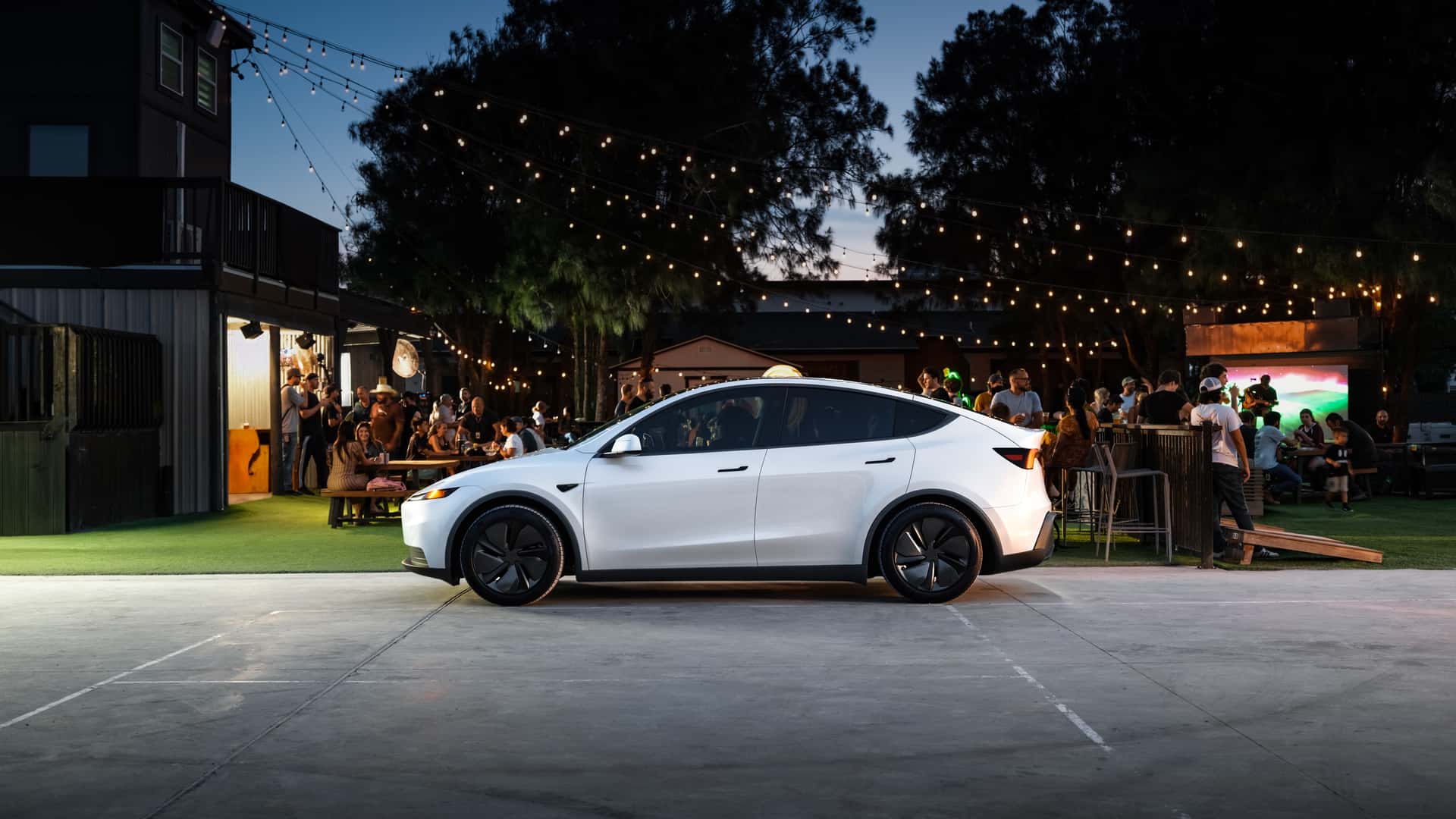 2026 Model Y Standard