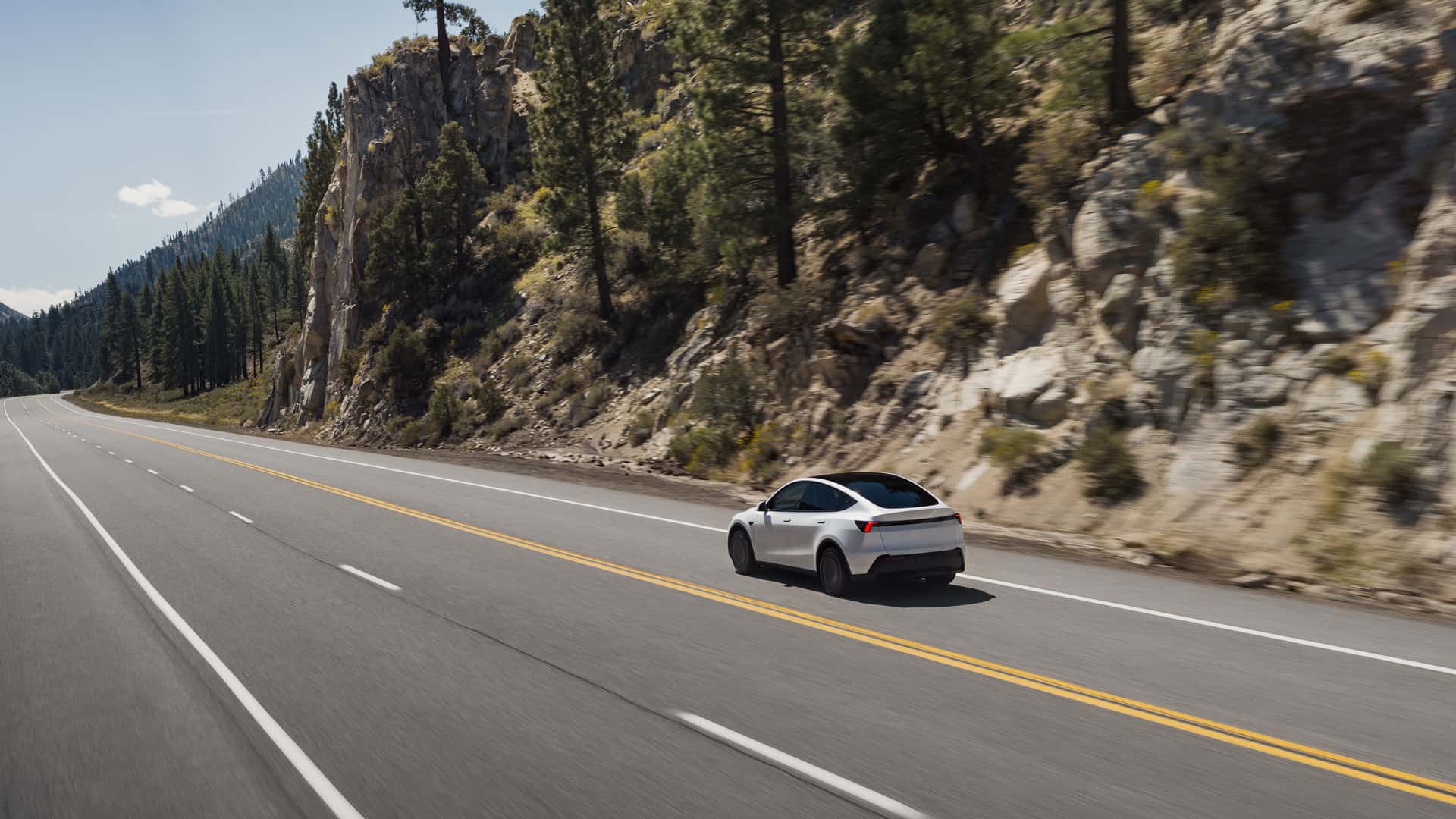 2026 Model Y Standard