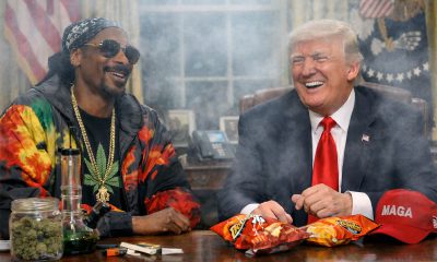 Trump Relaxes Federal Cannabis Rules After Late-Night Briefing From Dr. S. Dogg