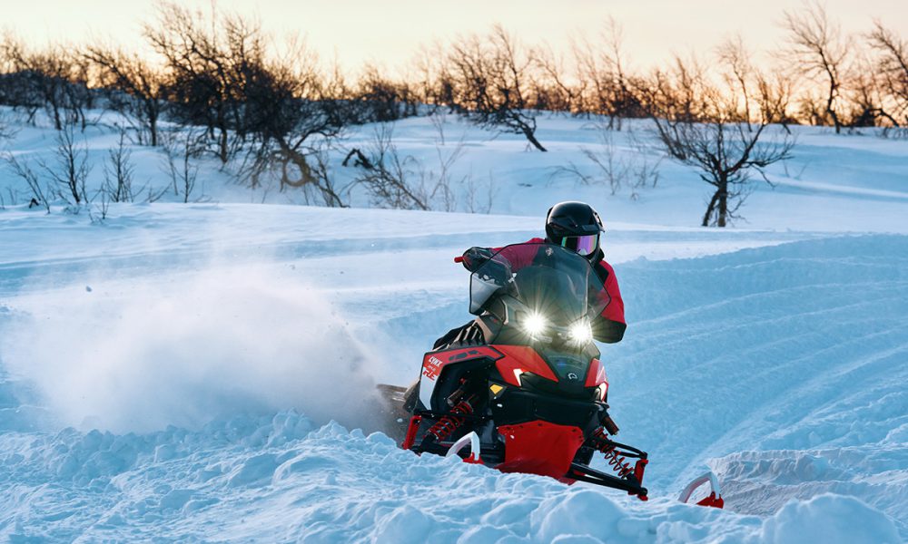 Lynx Rave RE 20th Anniversary Edition