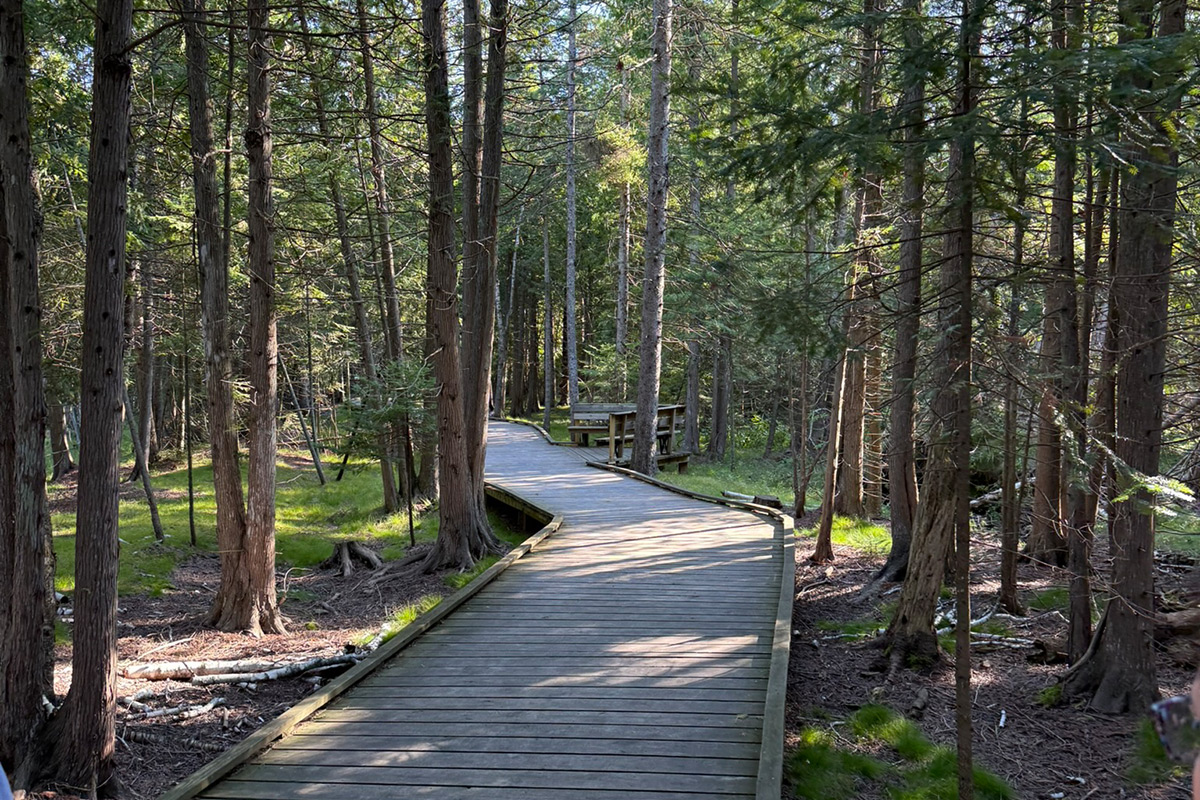 The Ridges Sanctuary